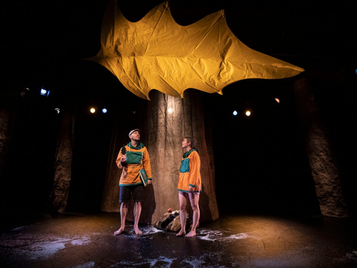 Sous la feuille 🍁 