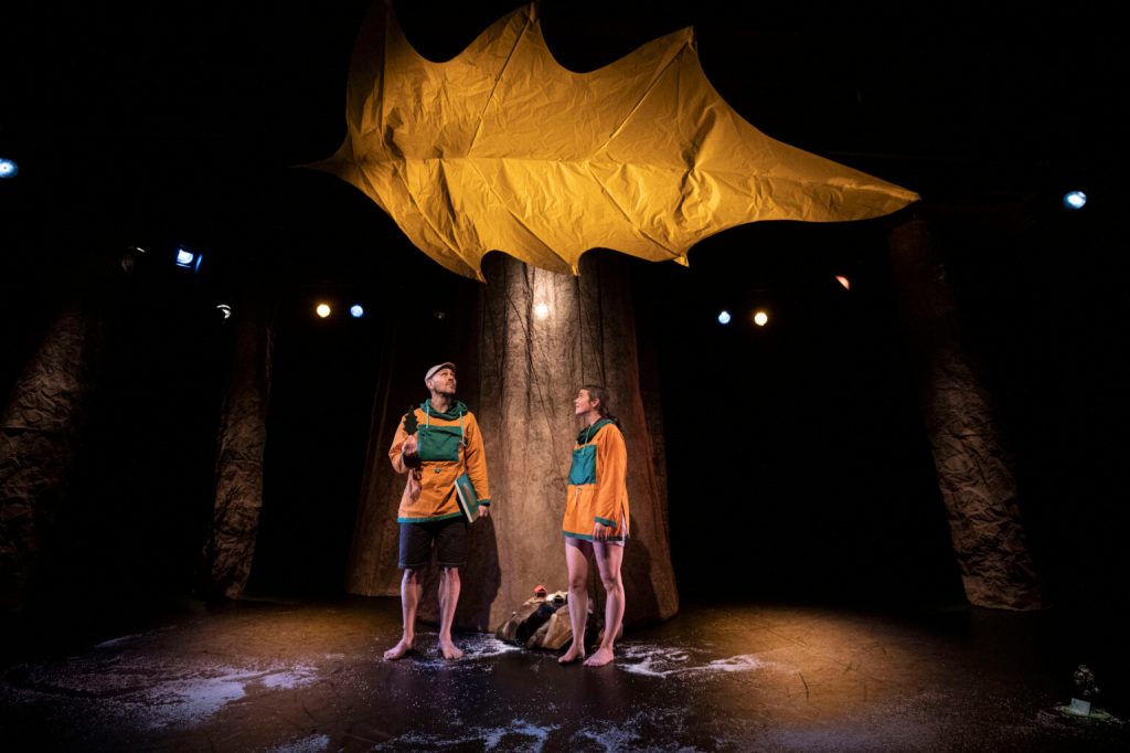 Sous la feuille 🍁 