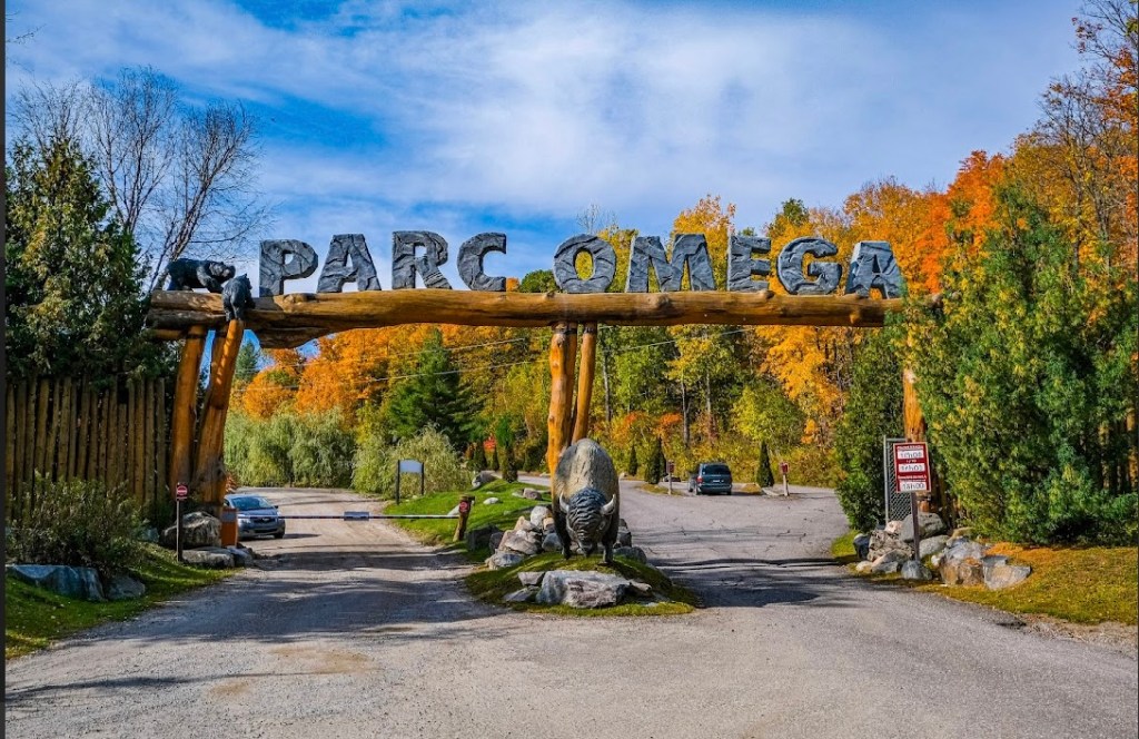 ONIRO: À QUOI RÊVENT LES&nbsp;ANIMAUX?