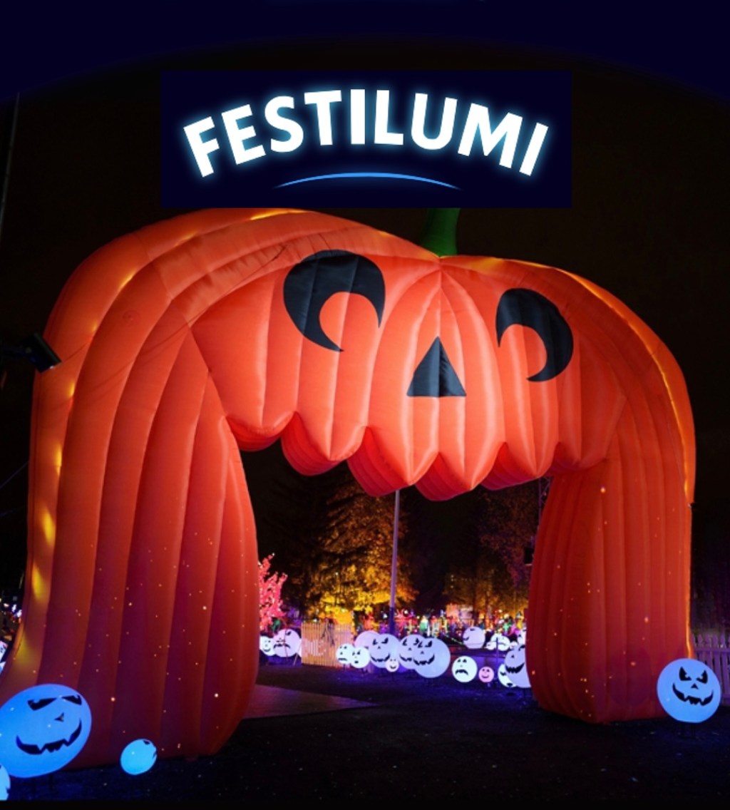 ENTREZ DANS LA MAGIE DE&nbsp;FESTILUMI!